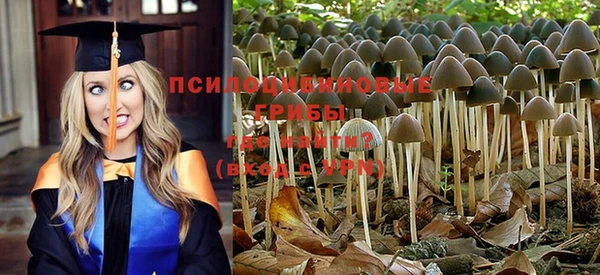 стаф Лабытнанги