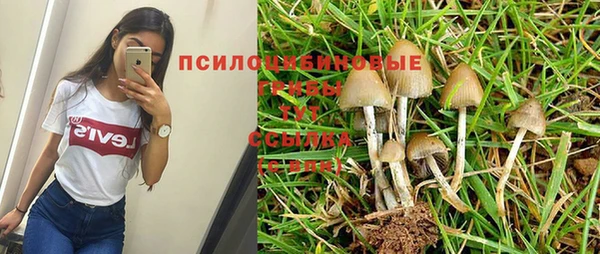 хмурый Кукмор