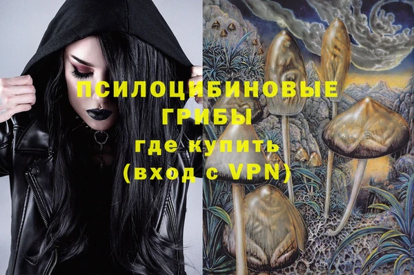 ГАЛЛЮЦИНОГЕННЫЕ ГРИБЫ Лагань