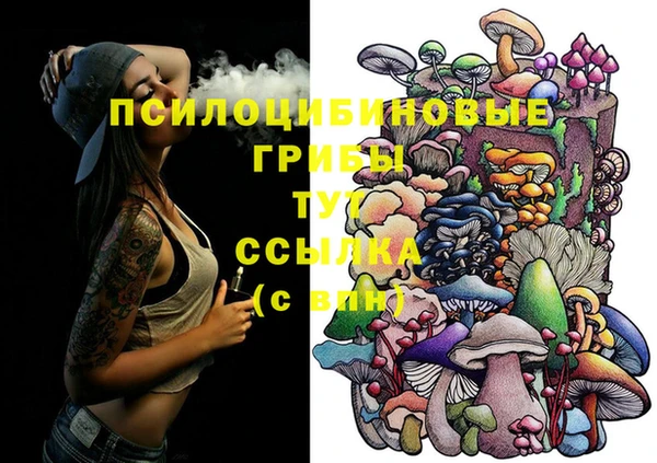 прущие грибы Ладушкин