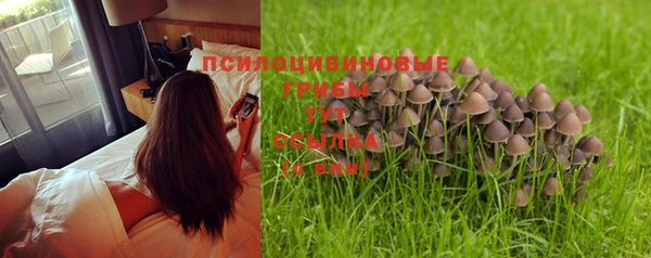 стаф Лабытнанги