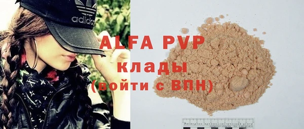 прущие грибы Ладушкин