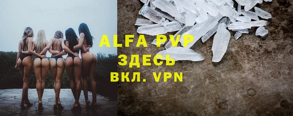 стаф Лабытнанги