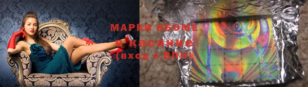 ГАЛЛЮЦИНОГЕННЫЕ ГРИБЫ Лагань