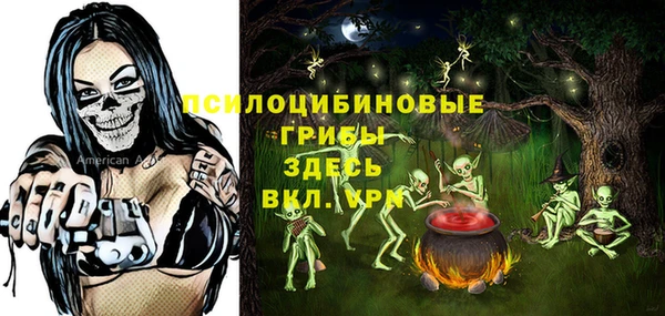 a pvp Кулебаки