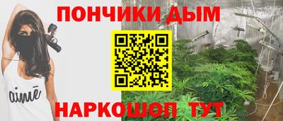 трава Гатчина