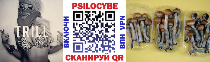 Галлюциногенные грибы GOLDEN TEACHER Михайловка