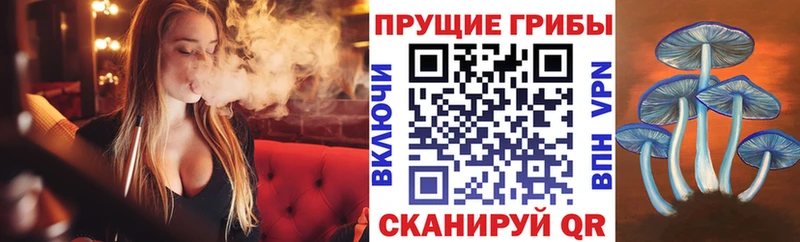 Галлюциногенные грибы Psilocybine cubensis  нарко площадка Telegram  Михайловка  mega зеркало 